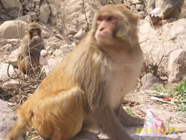 �h(hu��n)����С��