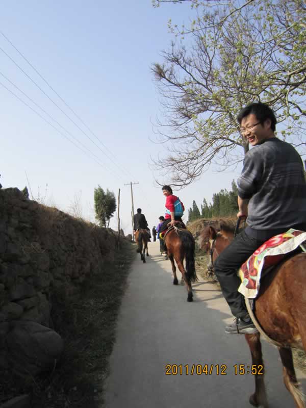 �T�R��ɽ��2