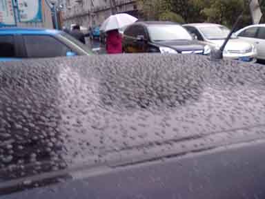 ���ݾW(w��ng)վ��(y��u)�������