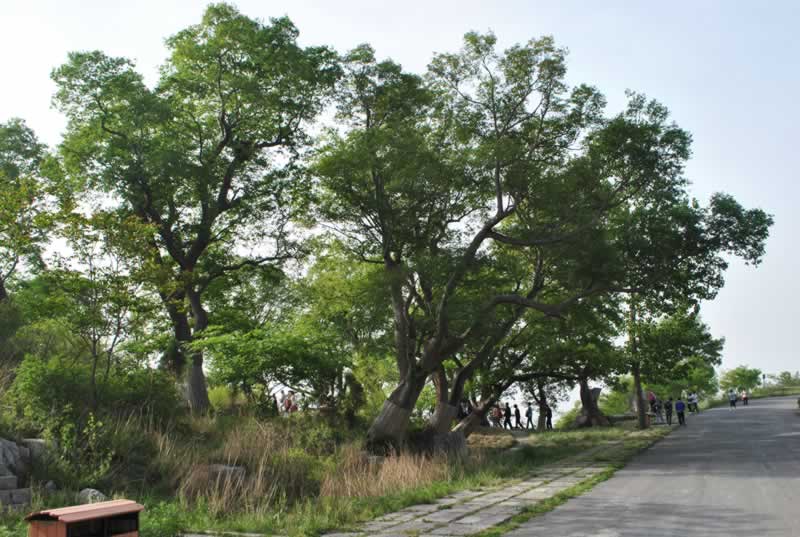 ���ӵęΘ�(sh��)