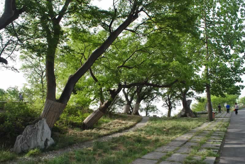 ��ފy���ǧ��Θ�(sh��)