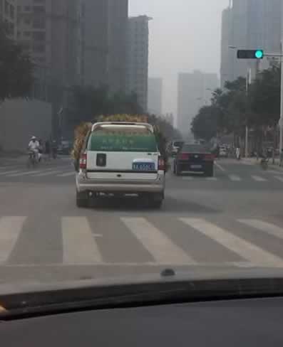 һ��(g��)���L(f��ng)�ľGɫ܇