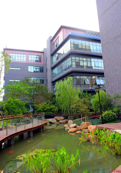 �W(w��ng)վ��(y��u)��֮�W(w��ng)վ����½���ԭ������Щ��