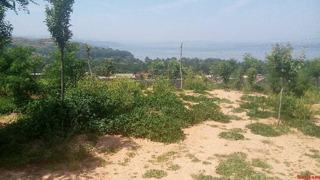 ꑜ�ˮ��(k��)����(w��)�^(q��)��ɫ