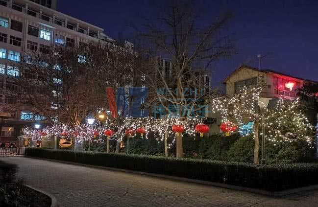 2019����������^(gu��)������1